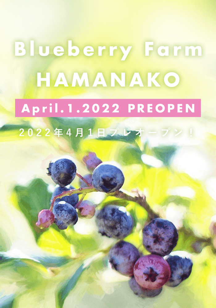 Blueberry Farm HAMANAKO