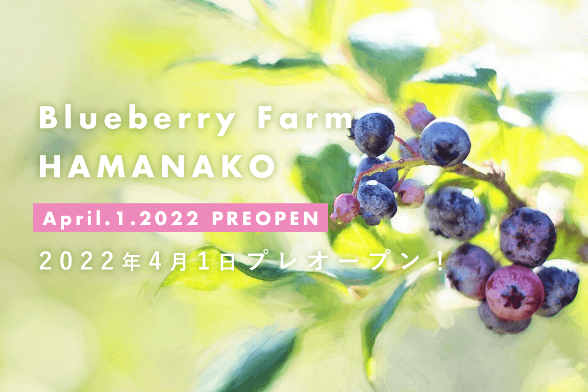 Blueberry Farm HAMANAKO